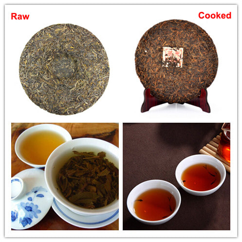Raw and Cooked Pu-erh Tea 